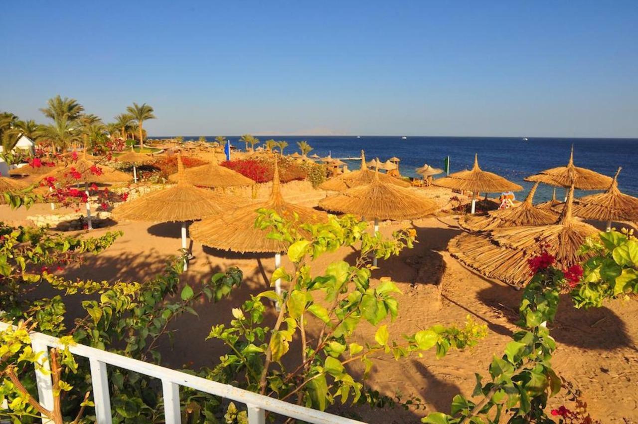 Carlton Luxury Villa Sharm el-Sheikh Exteriör bild